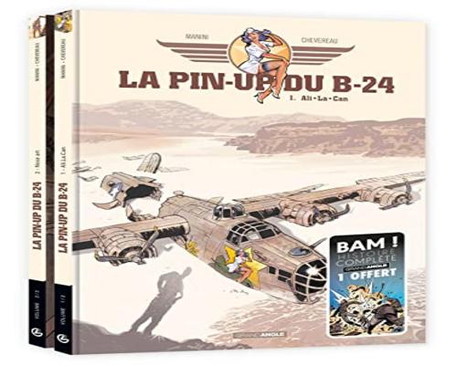 ein Buch The B-24 Pin-Up