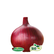 <notranslate>um pacote de grãos D'Oignon Rouge Amposta Germisem Bio</notranslate>