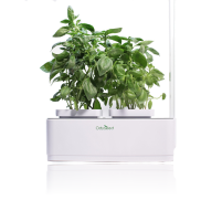 Un Potager d'Interieur 100% Bio