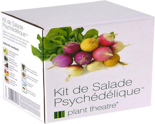 un Kit Kit De Salade Psychédélique Par Plant Theatre