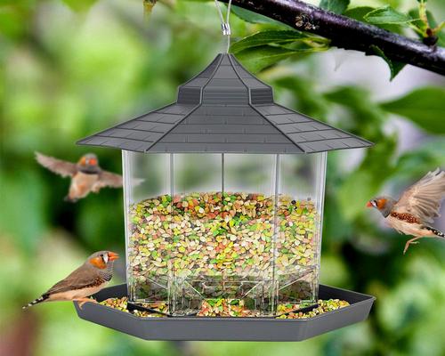 une Mangeoire Interhome A Oiseaux