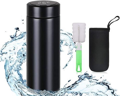 une Bouteille Flintronic En Acier Inoxydable 500Ml