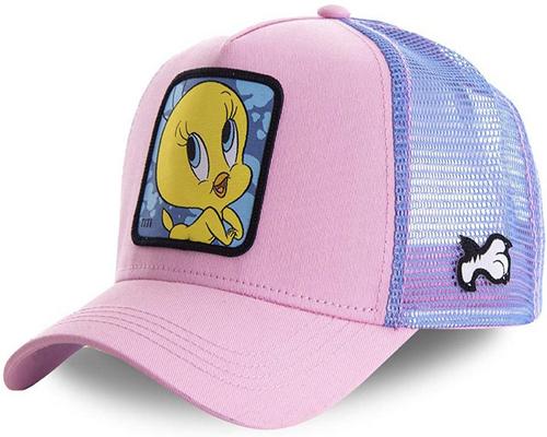 une Casquette Capslab