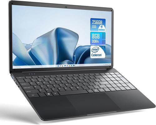 une Carte Ssd Sgin 15,6 Pouces