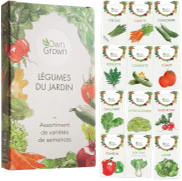 <notranslate>un Kit De Graines De Légumes Owngrown</notranslate>