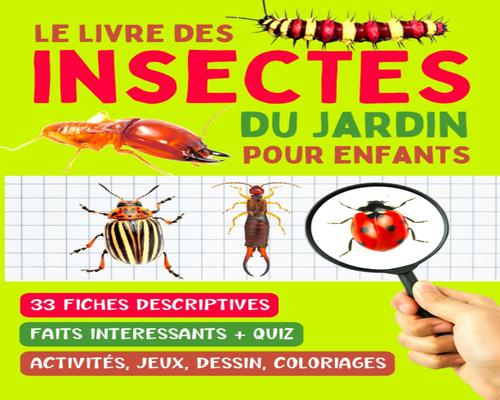 un Guide Sur Les Insectes Pour Enfants