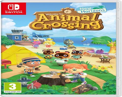 un Jeu Animal Crossing New Horizons Pour Switch