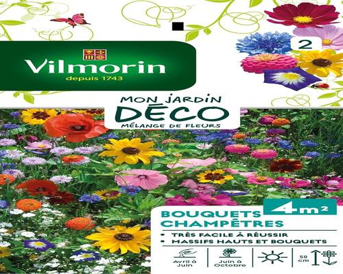 un Pack De Graines Fleur Pour Bouquets Champêtres Vilmorin