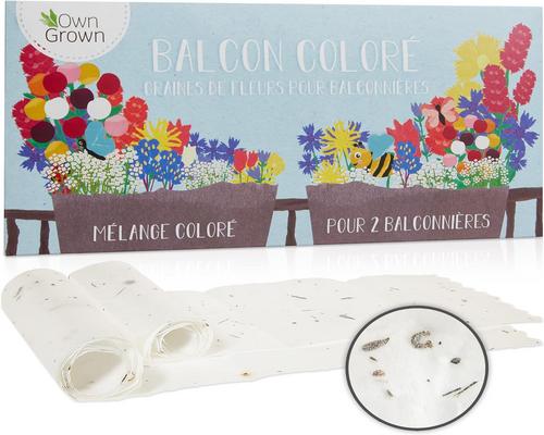 <notranslate>un Mélange De Fleurs De Balcon Owngrown</notranslate>