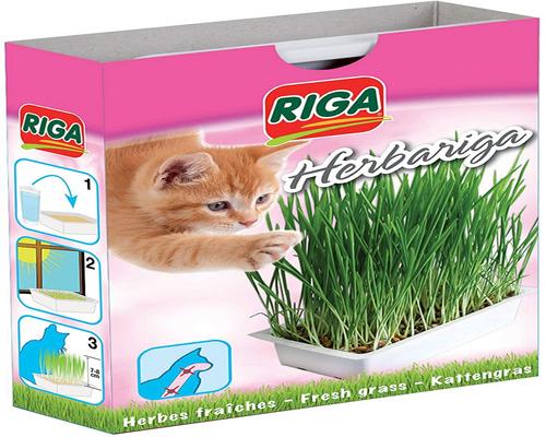 <notranslate>um pacote de ervas riga Ariga</notranslate>