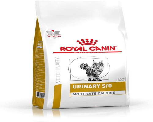 un paquete de comida Royal Canin