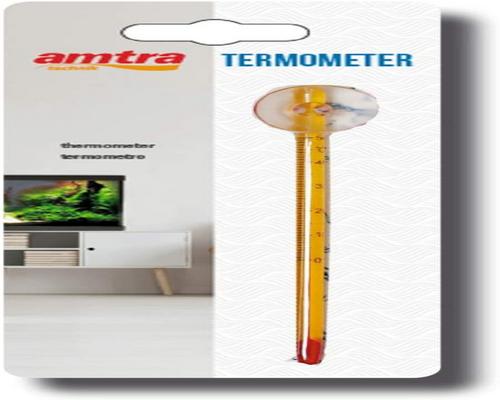 an Amtra Wave Thermometer