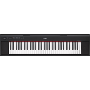 <notranslate>a Yamaha Piaggero NP-12 Keyboard With 61 Keys</notranslate>