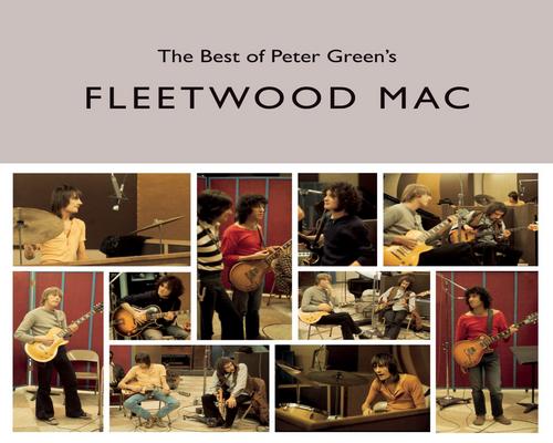 ein Cd The Best Of Peter Green'S Fleetwood Mac [Vinyl Lp]