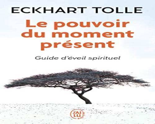 un Livre Intitulé "Le Pouvoir Du Moment Présent - Guide D'Éveil Spirituel"