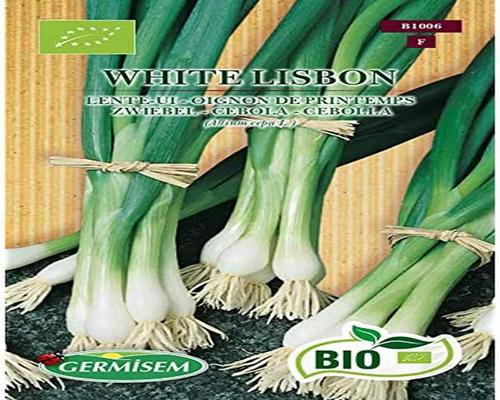 a Packet of Organic Spring Onion Seeds