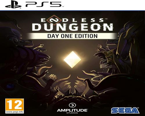 un Jeu "Endless Dungeon" Pour Ps5