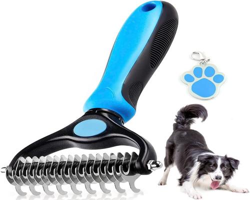 a Dog Brush
