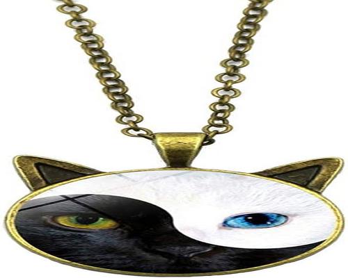 una collana Tai Chi Yin Yang Cat pendente in vetro con catena regalo