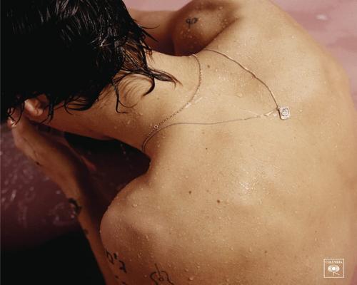 <notranslate>een Pop Harry Styles</notranslate>