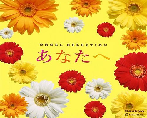 Cd オルゴール