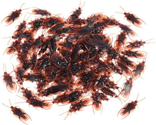 Toyandona Prank Set of 60 Fake Plastic Cockroaches for Cockroaches