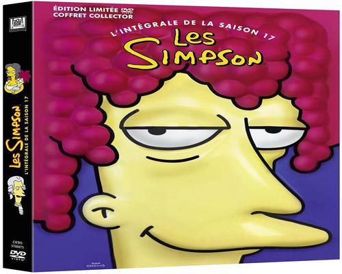 eine Sammlerbox Die Simpsons Staffel 17