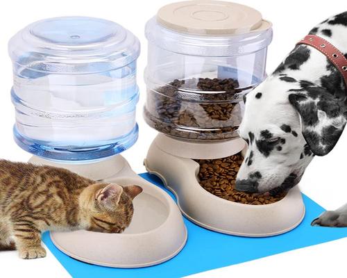 un set di distributori di crocchette e acqua