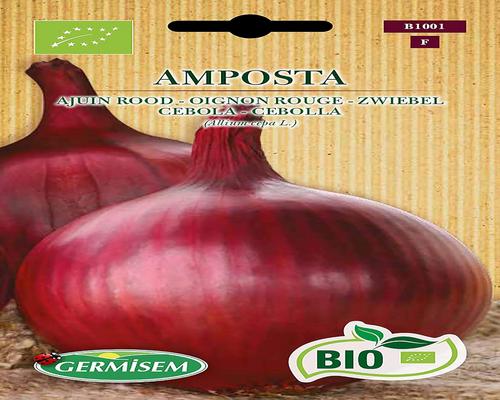 un Paquet De Graines D'Oignon Rouge Amposta Germisem Bio