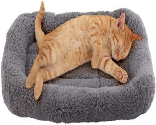 un Tapis Auto-Chauffant Enjoying Pour Chats