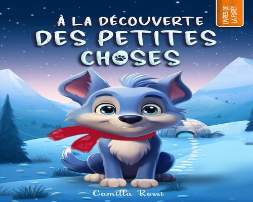 un Livre Illustré "À La Découverte Des Petites Choses"