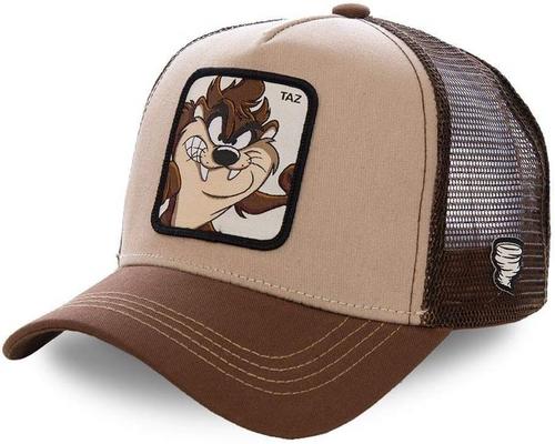 a Taz Looney Tunes Cap