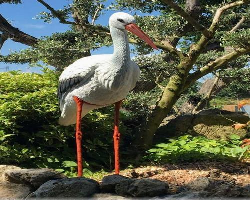 une Statue De Cigogne Blanche