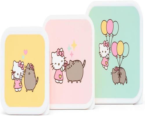 un Ensemble De Boîtes À Goûter Pusheen Et Hello Kitty