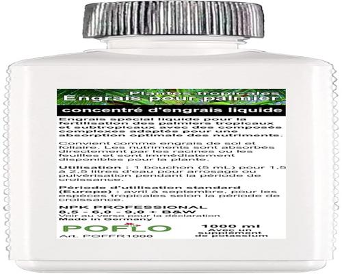 A Fertilizer For Palm Tree