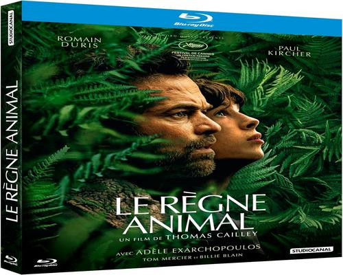 un Blu-Ray De Film