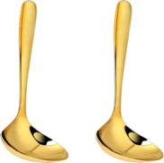 <notranslate>een set van 2 sauslepels van roestvrij staal</notranslate