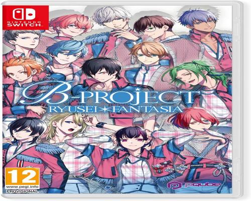 un Jeu B-Project Ryusei Fantasia Sur Nintendo Switch