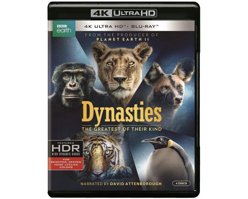 A Dynasties 4K
