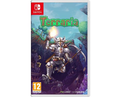 Een Switch Terraria-spel