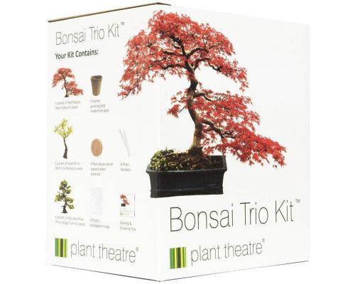 Een Bonsai Trio Kit