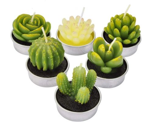 Un juego de 6 velas de cactus