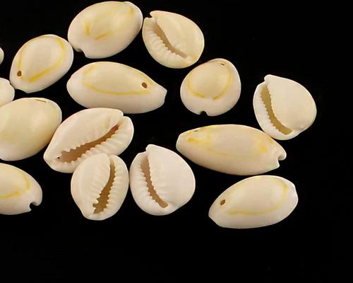 <notranslate>a Lot of Oval Cowrie Shell Beads Boutigem</notranslate <notranslate>a Lot of Oval Cowrie Shell Beads Boutigem</notranslate