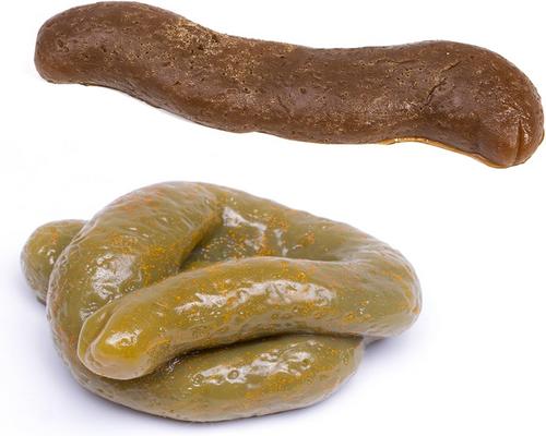 A Pair of Fake Slimy Poops