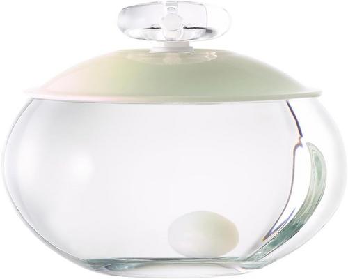 and Cacharel Noa Perfume