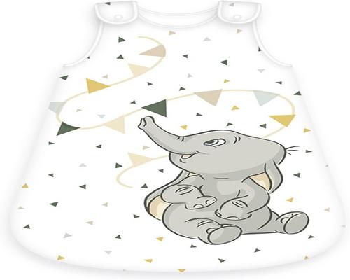 a Disney Dumbo sleeping bag