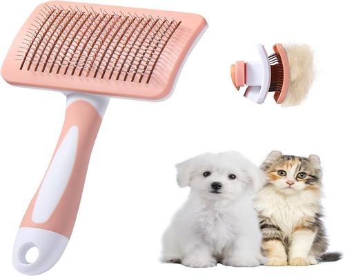 a self-cleaning brush
