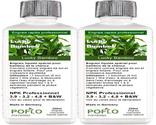 Poflo Fertilizer for Lucky Bamboo