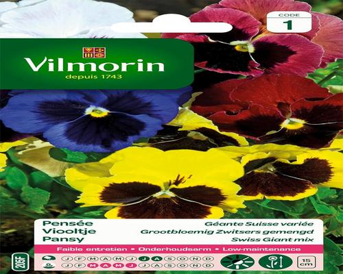 a Batch of Vilmorin Multicolored Giant Pansy Seeds
