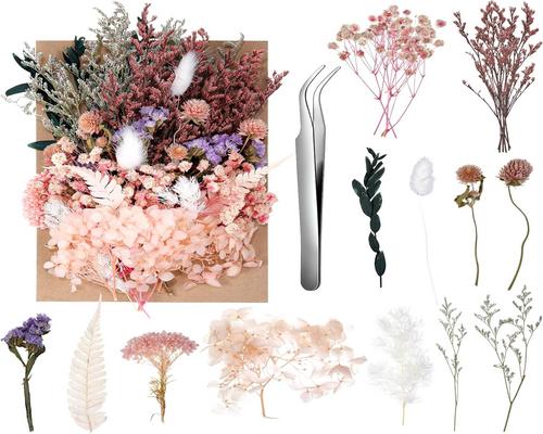 a batch of natural dried flowers from Aurorayer